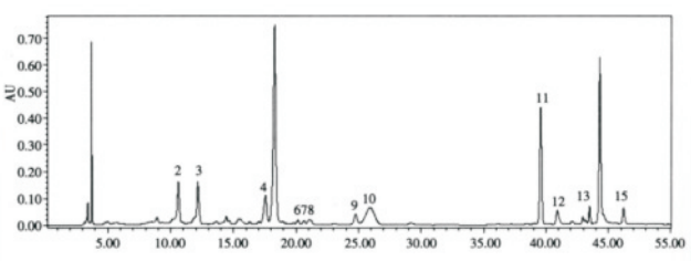 高效液相色谱仪 HPLC